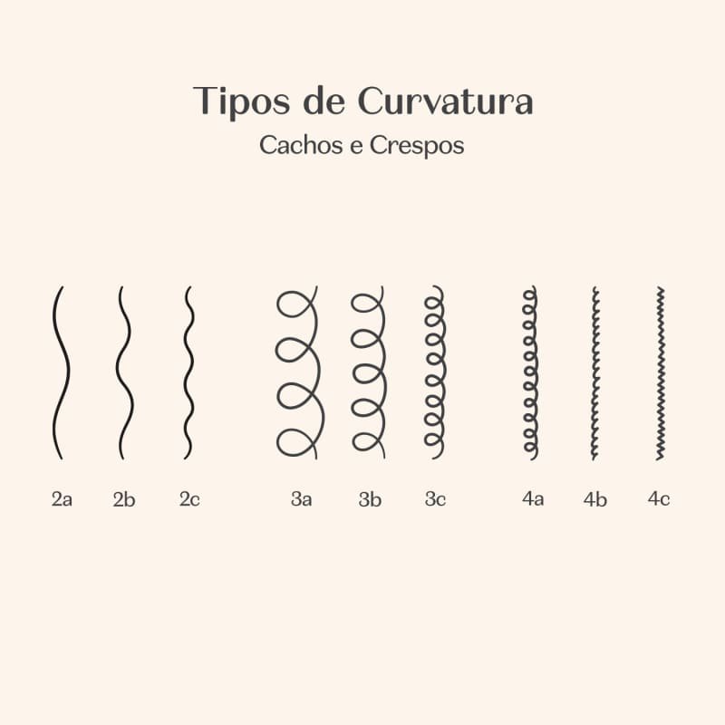 MATCH CIENCIA DAS CURVAS - OLIO PER CAPILLARE CONCENTRATO 50ML - immagine 3